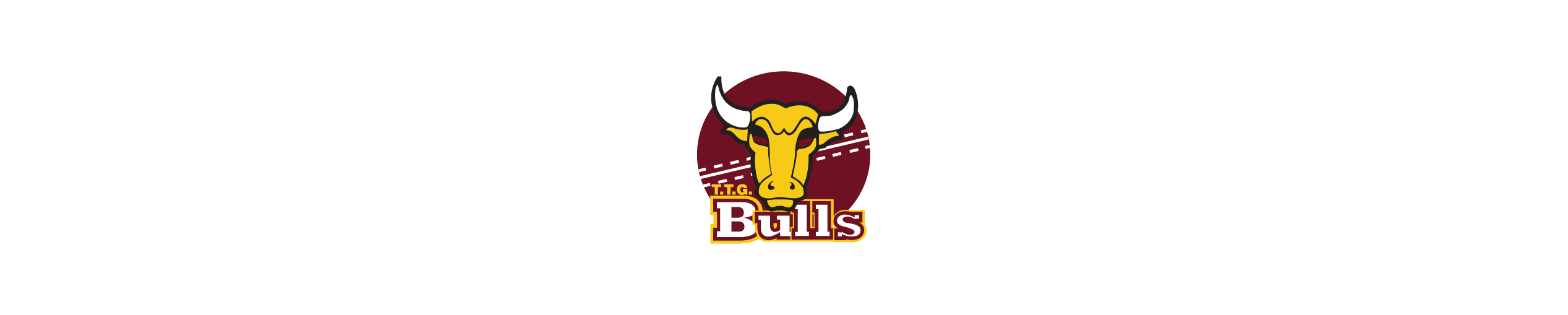 TEA TREE GULLY CRICKET