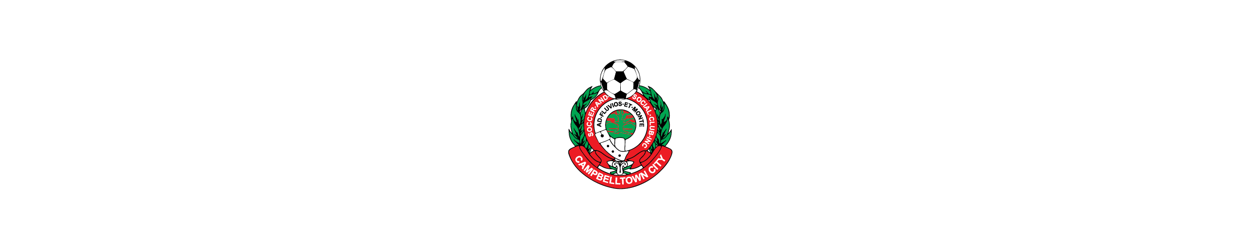 CAMPBELLTOWN CITY SC
