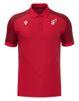 HENLEY HAWKS - BALDWIN POLO