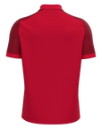 HENLEY HAWKS - BALDWIN POLO