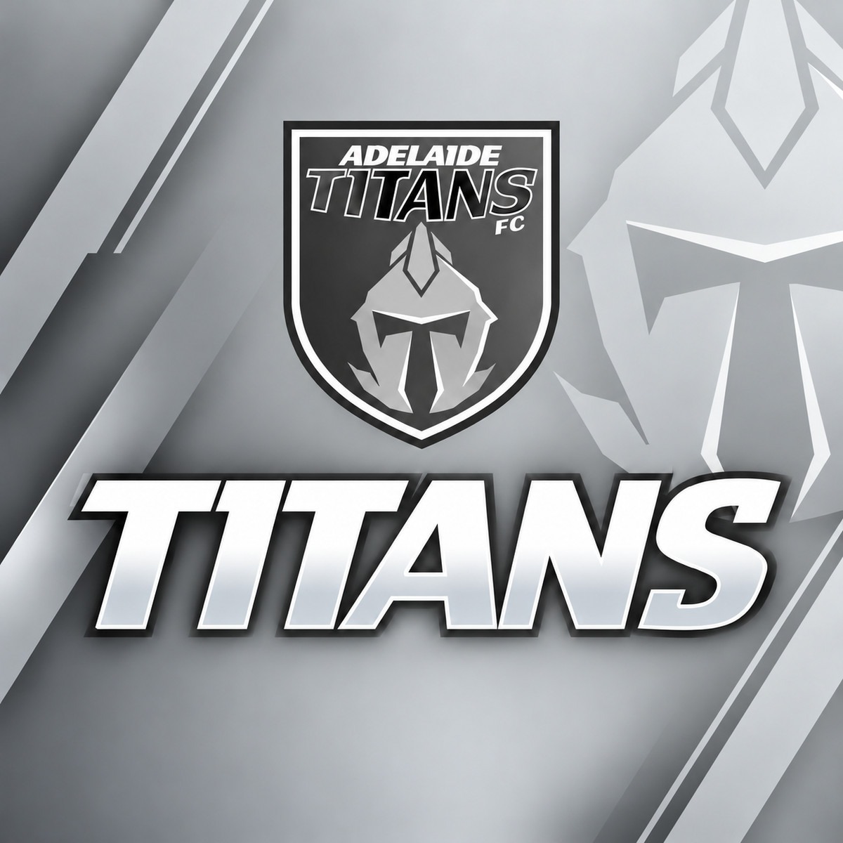 TITANS PREMIUM MERCH