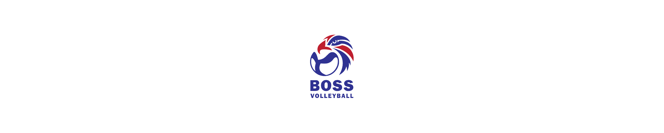Boss Volleyball