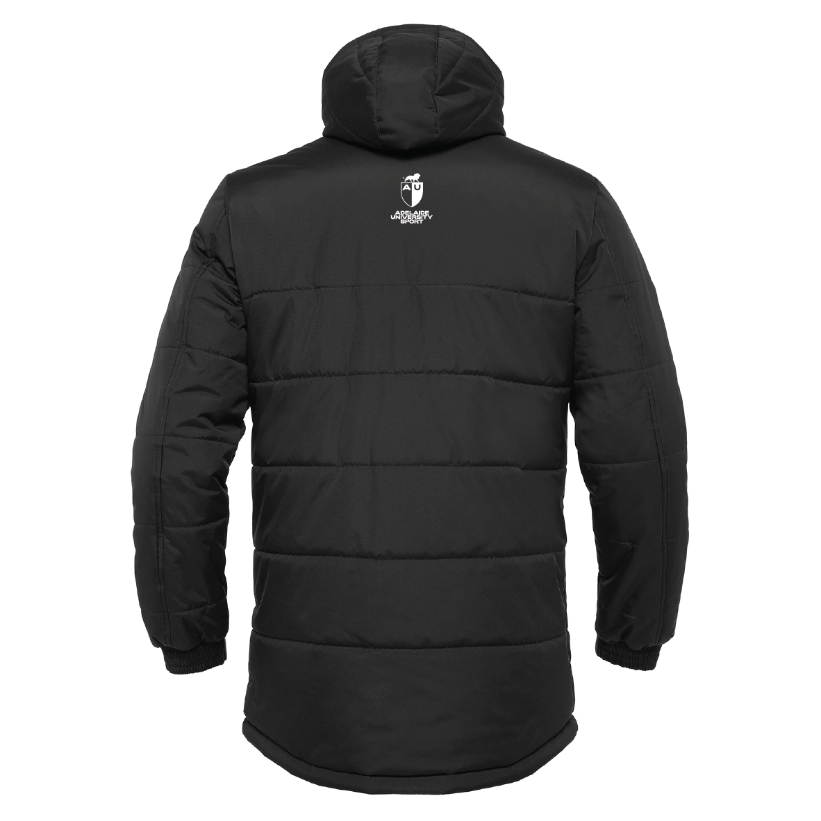 AU SHARKS - GYOR PADDED JACKET